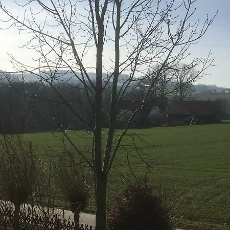 Ferienwohnung Am Bramschebach Lohne  Exterior photo